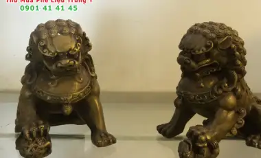 Đồng Đổi Màu Là Gì? Đồng Đổi Màu Là Gì?