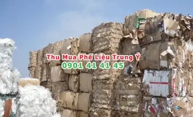Giấy vụn bao nhiêu tiền 1kg? Giấy vụn bao nhiêu tiền 1kg?