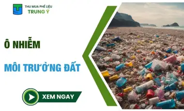 Ô Nhiễm Môi Trường Đất