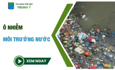 Ô nhiễm môi trường nước