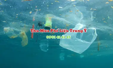 Ô nhiễm môi trường nước Ô nhiễm môi trường nước