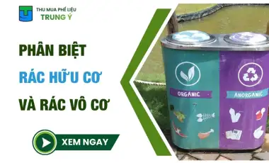 Phân Biệt Rác Hữu Cơ Và Rác Vô Cơ