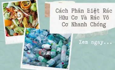 Phân Biệt Rác Hữu Cơ Và Rác Vô Cơ Phân Biệt Rác Hữu Cơ Và Rác Vô Cơ