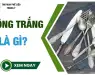 Đồng trắng là gì? Đồng trắng là gì?