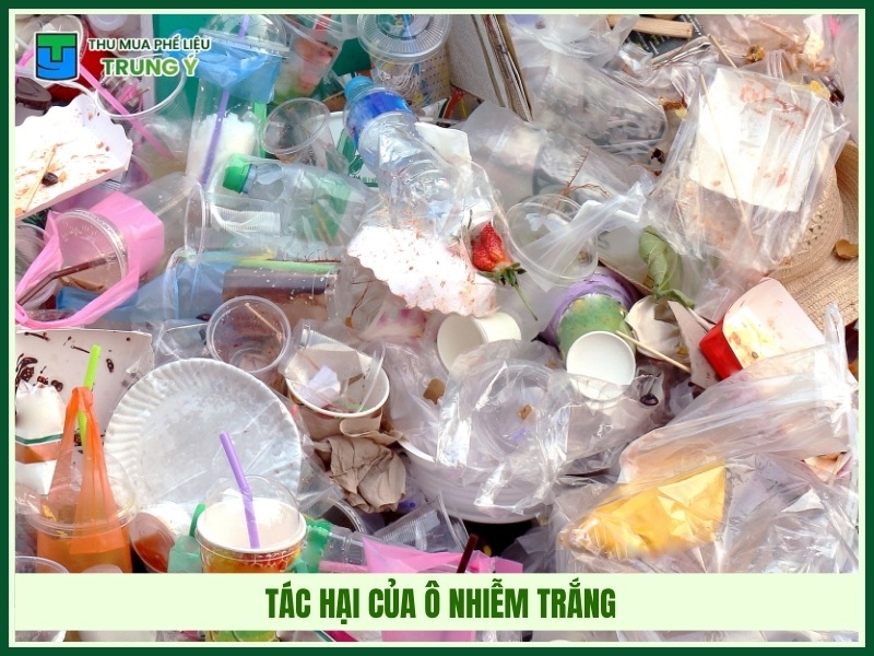 Tác hại của ô nhiễm trắng