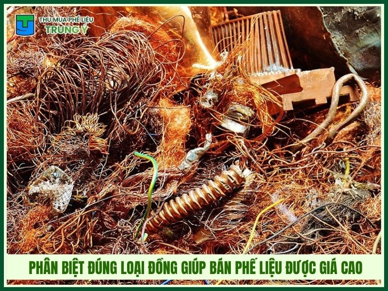 Vì sao phân biệt đúng loại đồng giúp bán phế liệu được giá cao hơn?