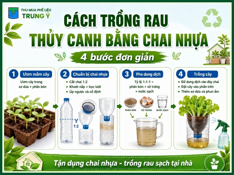 Cách trồng rau thủy canh bằng chai nhựa