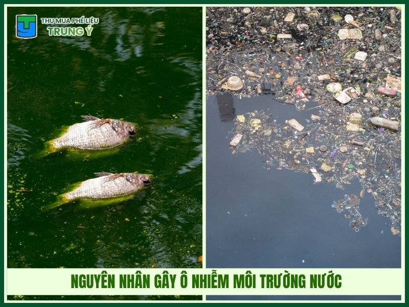 Nguyên nhân gây ô nhiễm môi trường nước