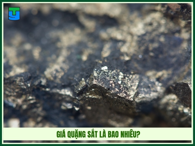 Giá quặng sắt là bao nhiêu?
