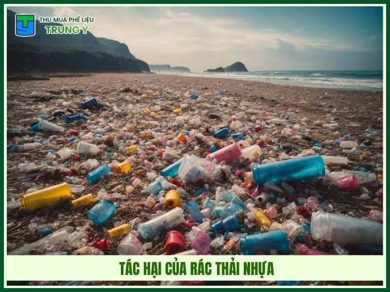 Tác hại của rác thải nhựa