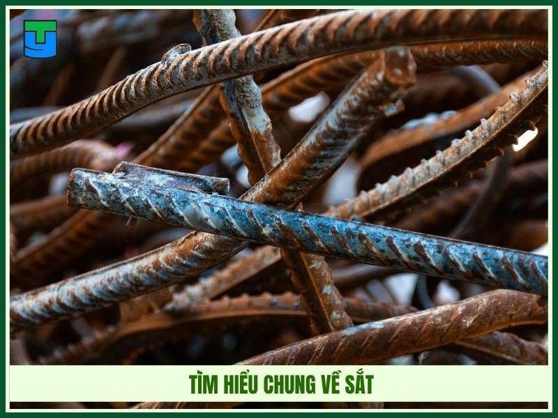 Tìm hiểu chung về sắt