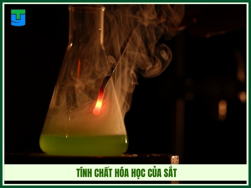 Tính chất hóa học của sắt