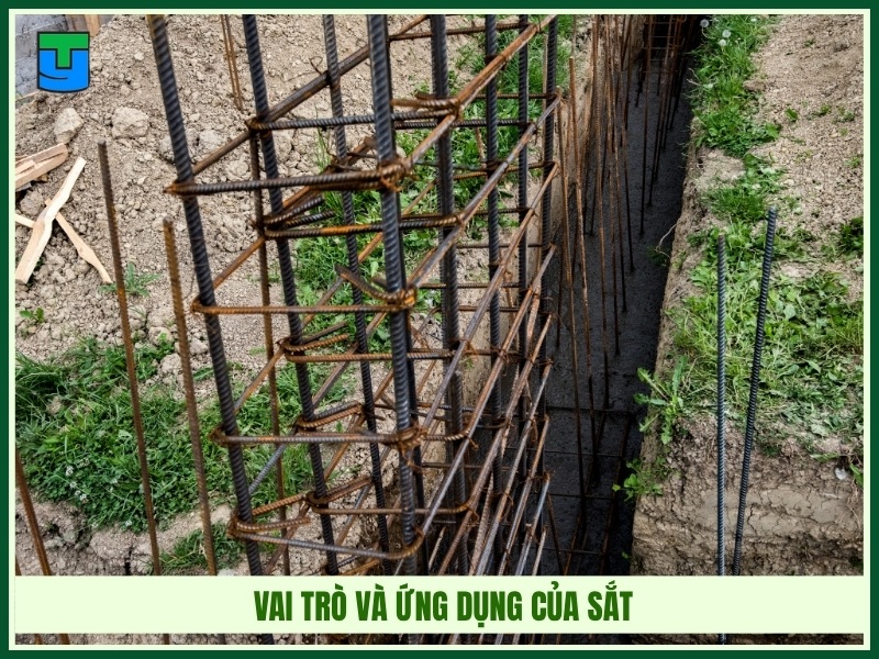 Vai trò và ứng dụng của sắt