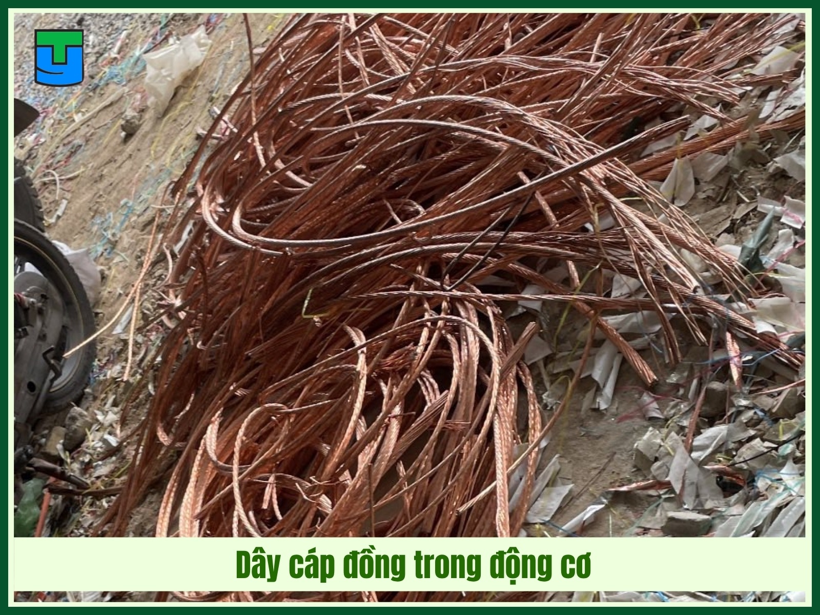 Day cap dong trong dong co