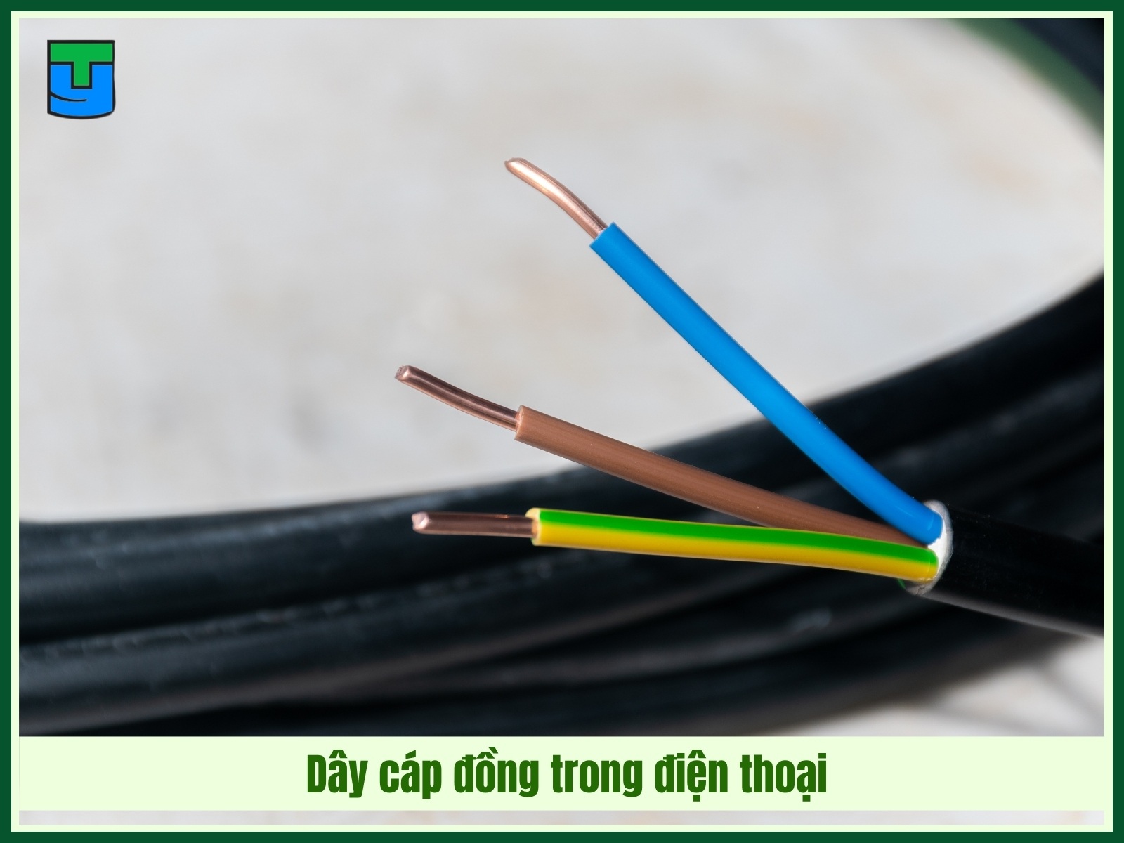 Day cap dong trong dien thoai