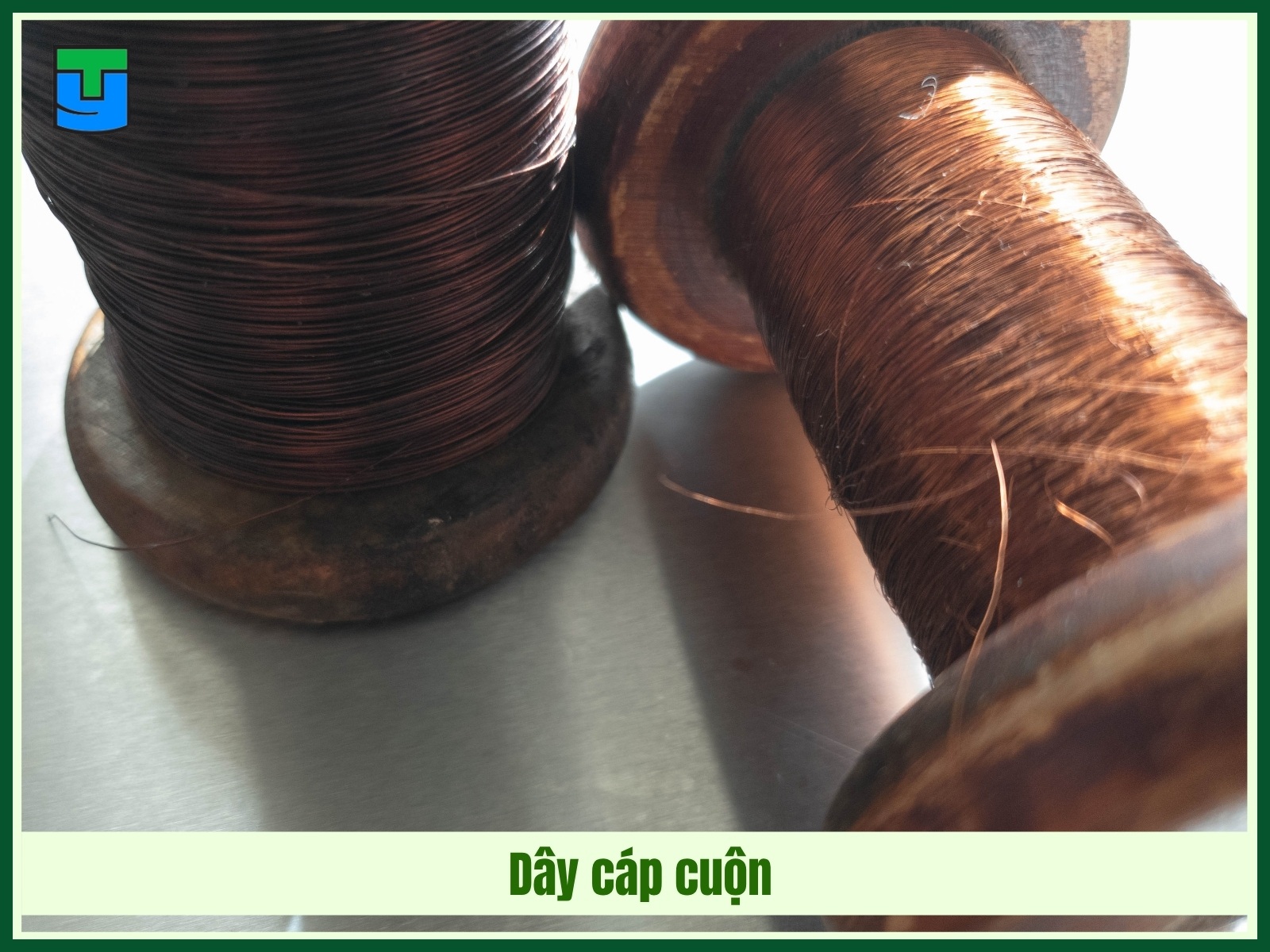 Day cap cuon