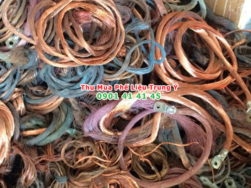 Bang gia thu mua dong phe lieu phu thuoc vao thoi diem ban