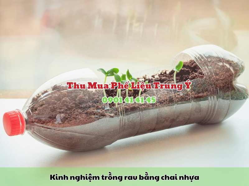 kinh nghiem trong rau bang chai nhua