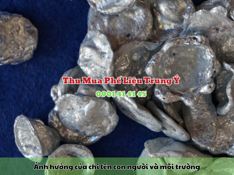 anh huong cua chi len con nguoi va moi truong