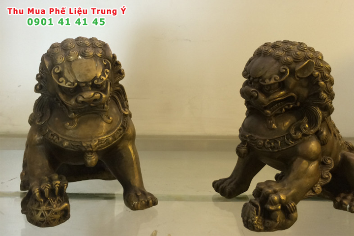 Dong doi mau la gi