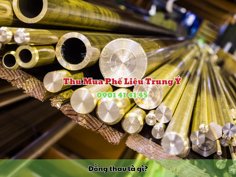 dong thau la gi