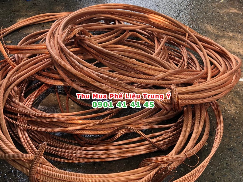 gia dong do phe lieu hom nay