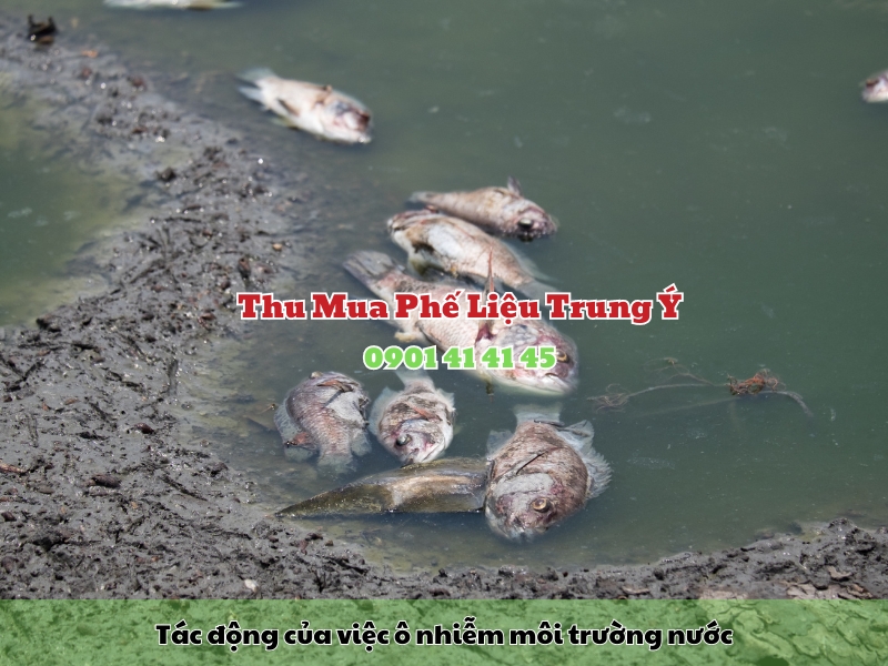 hau qua cua o nhiem moi truong nuoc
