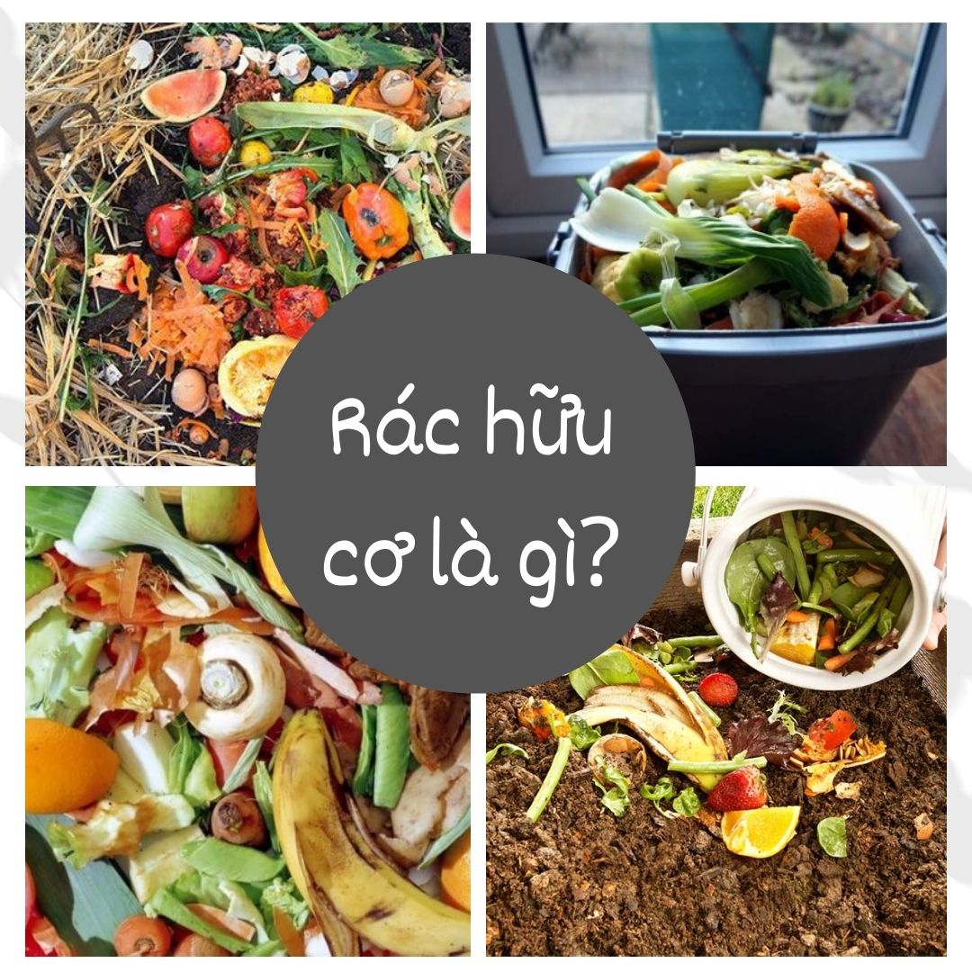 Rac huu co la gi