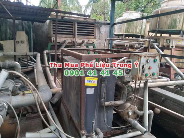 thu mua phế liệu cũ các loại giá cao nhất