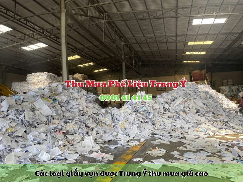 cac loai giay vun duoc trung y thu mua gia cao