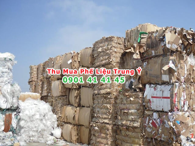 thu mua giấy vụn giá cao tại tphcm