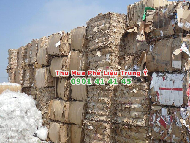 hình ảnh thu mua giấy vụn phế liệu