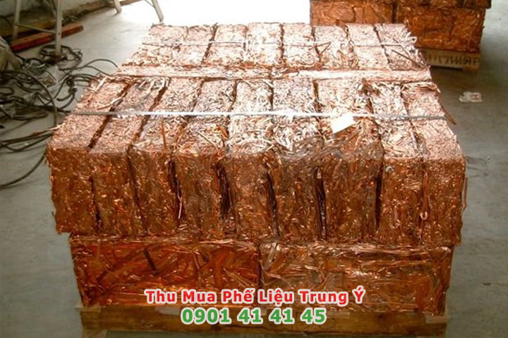 gia thu mua dong phe lieu hom nay bao nhieu 1kg