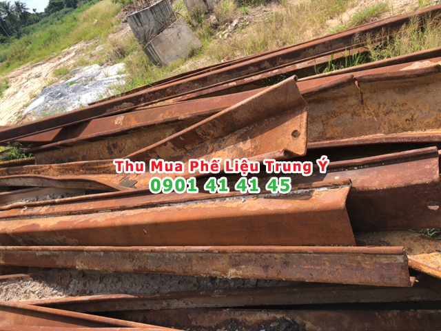 ung dung cua sat trong doi song