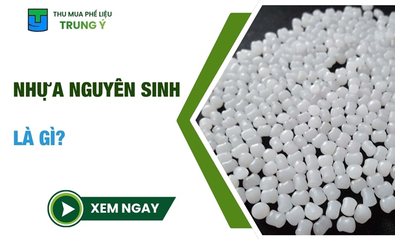 Nhựa Nguyên Sinh Là Gì? Đặc Điểm, Phân Loại & Ứng Dụng