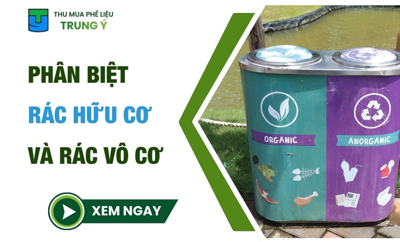 Cách Phân Biệt Rác Hữu Cơ Và Rác Vô Cơ Nhanh Chóng