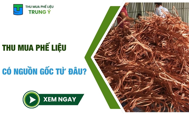 Thu mua phế liệu có nguồn gốc từ đâu? - Phế Liệu Trung Ý