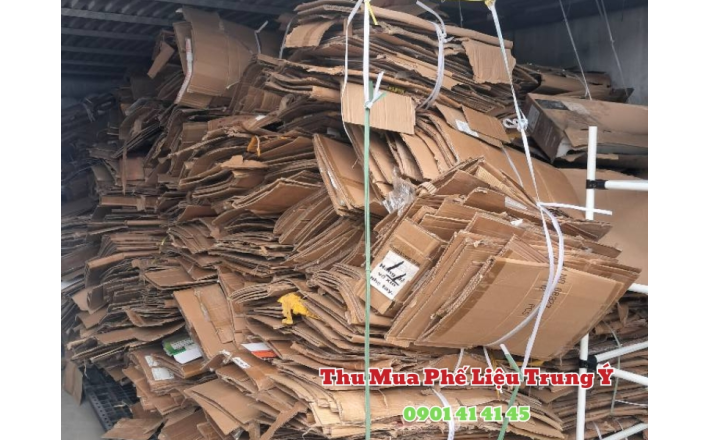 Thu mua giấy phế liệu giá cao tại TPHCM